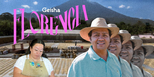 湖の風が整える、静かな華やかさ。フロレンシア農園ゲイシャの上品な甘み