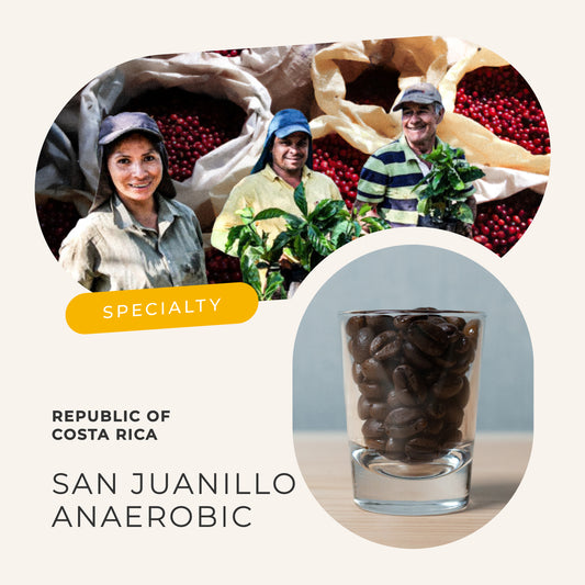 コスタリカ サン・フアリーニョ農園 アナエロビック・ナチュラル