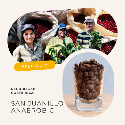 コスタリカ サン・フアリーニョ農園 アナエロビック・ナチュラル