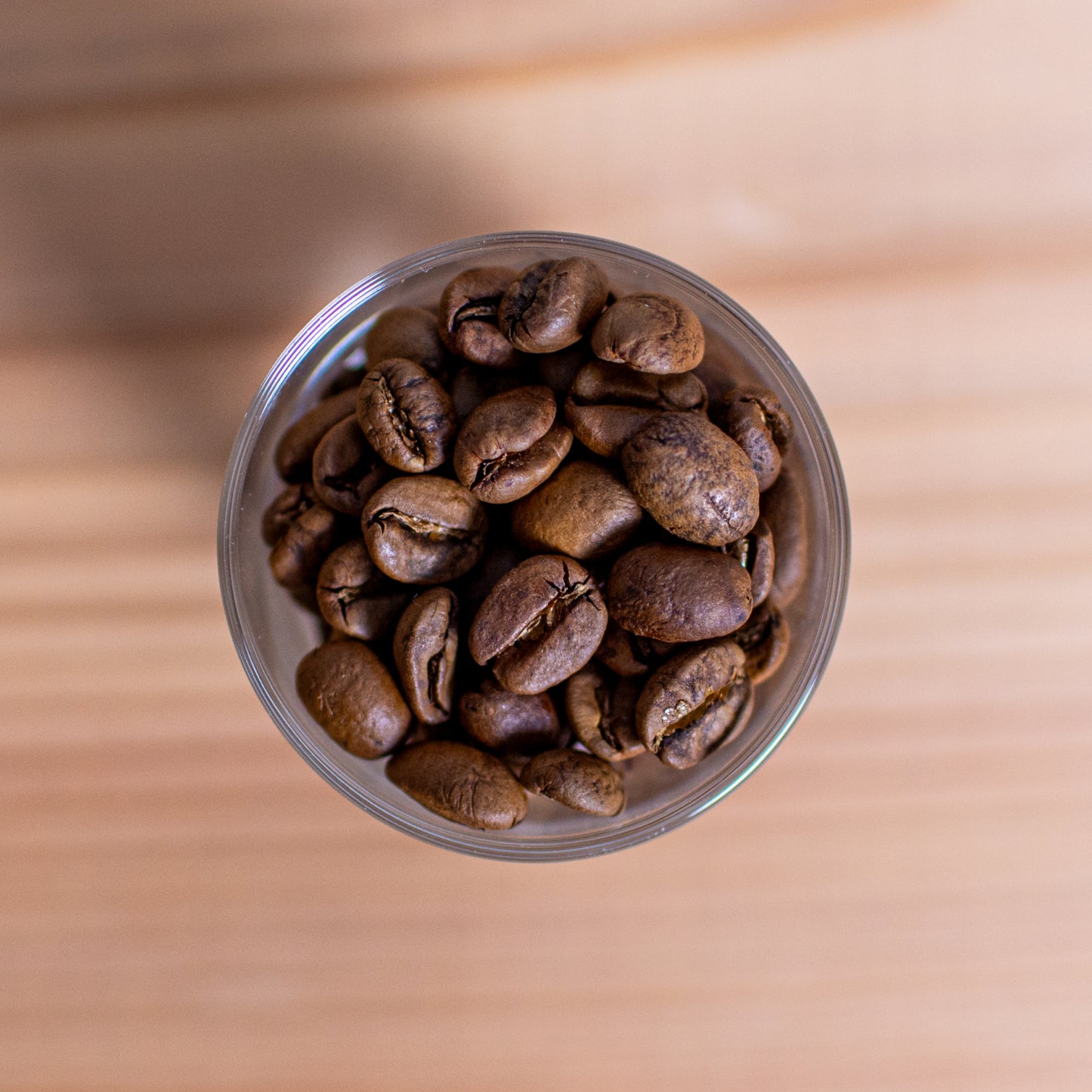 コスタリカ サン・フアリーニョ農園 アナエロビック・ナチュラル