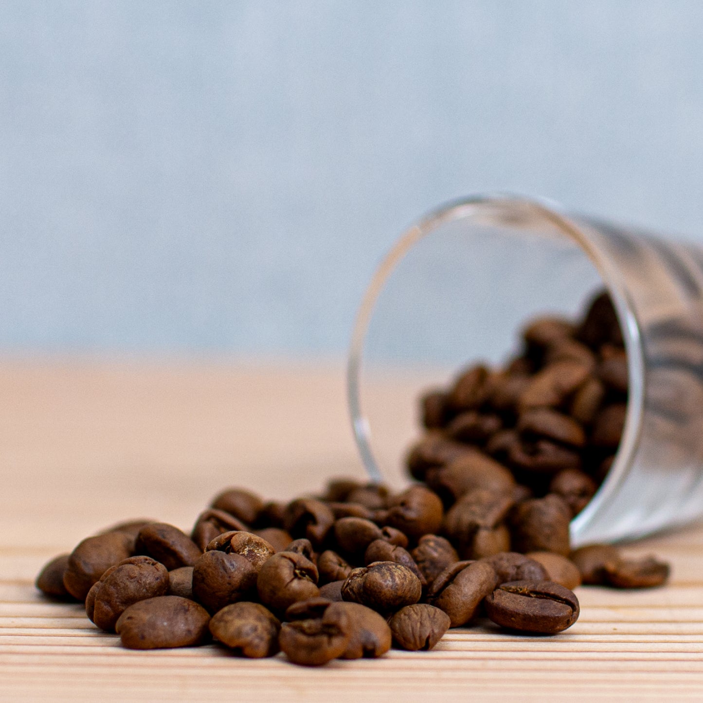 コスタリカ サン・フアリーニョ農園 アナエロビック・ナチュラル