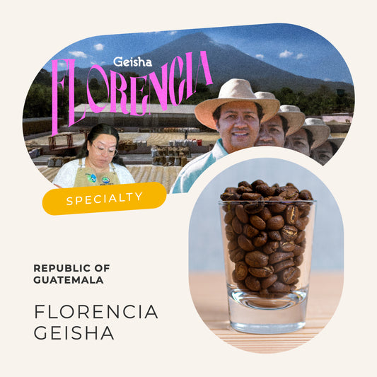 グアテマラ フロレンシア農園 ゲイシャ