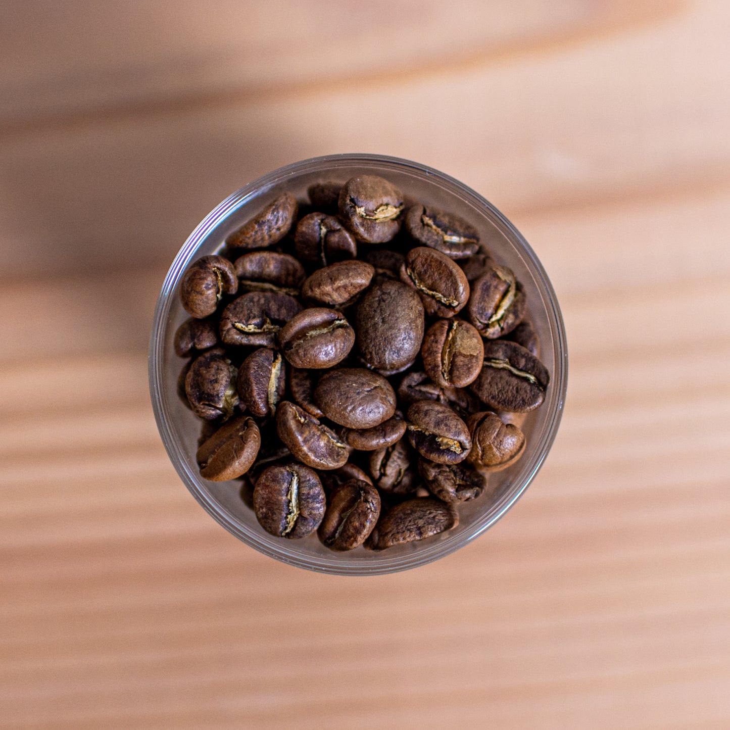 グアテマラ フロレンシア農園 ゲイシャ