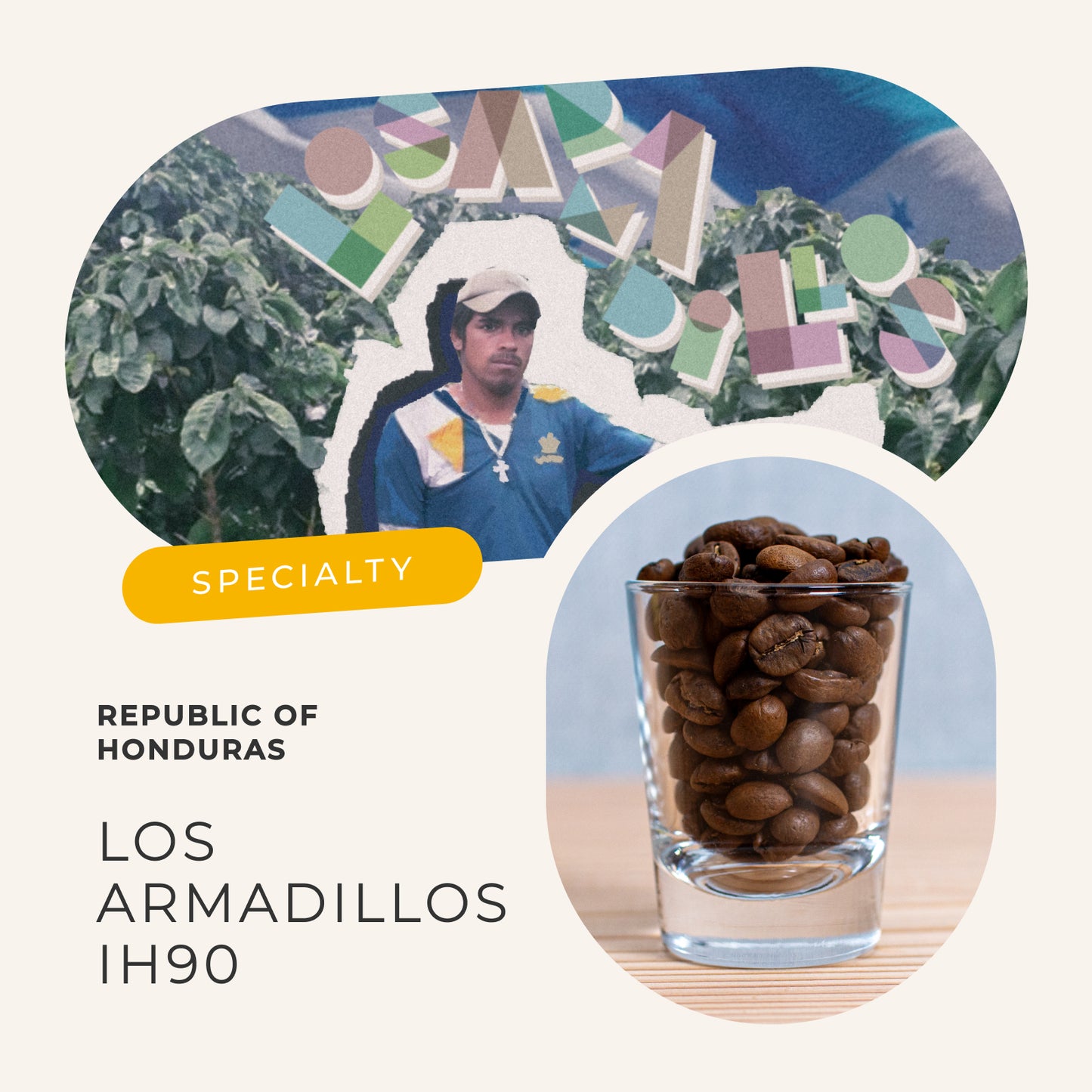 ホンジュラス ロス・アルマディージョス農園 IH90
